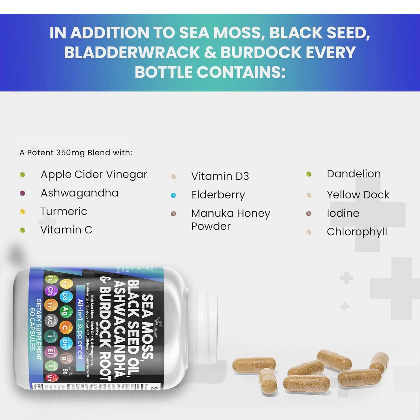 VitaliBlast™ Sea Moss 16-in-1 Magic Blend