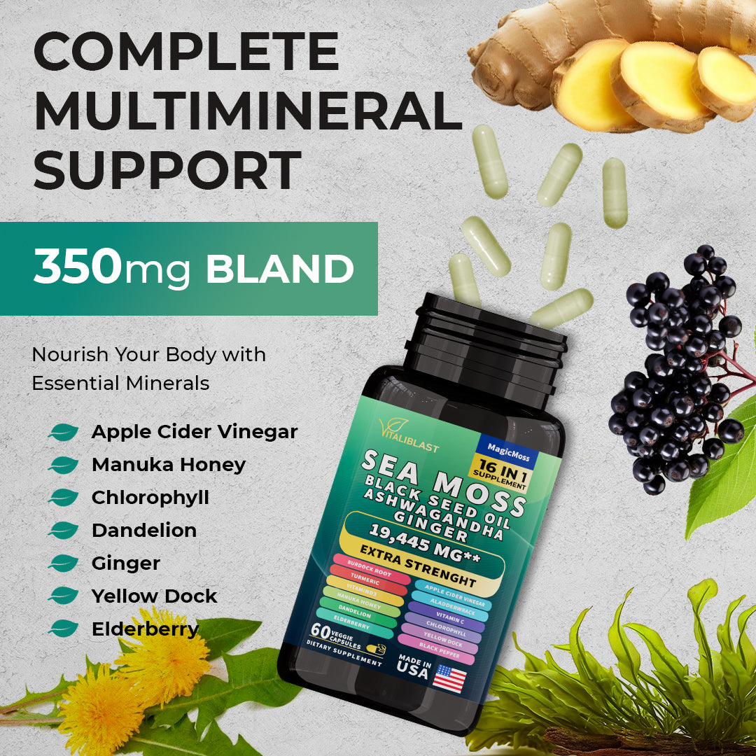 Sea Moss 16-in-1 Super Blend - 19,445MG