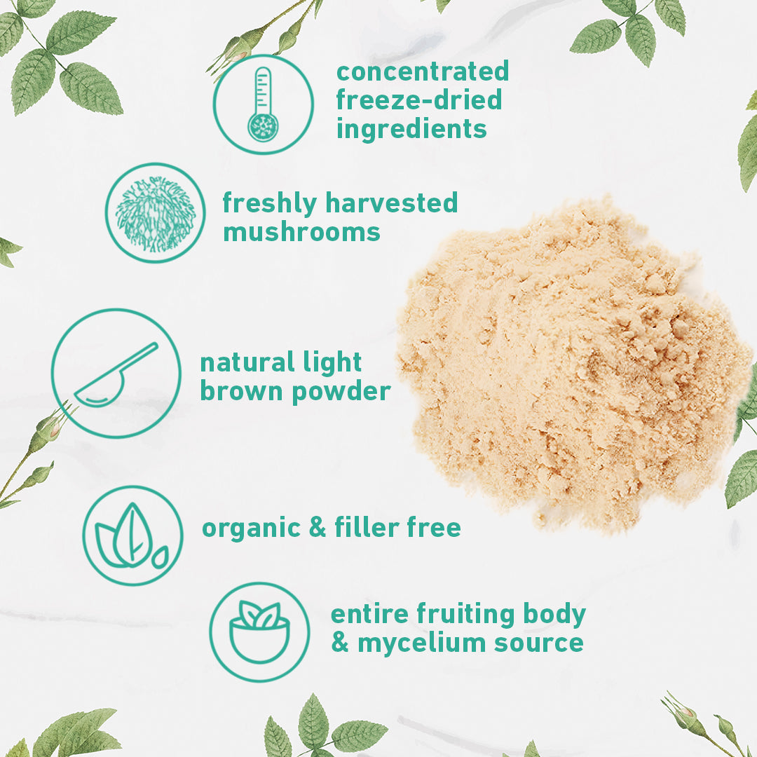 Organic Lions Mane Mushroom Supplement Powder